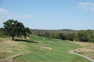 Erin Hills 15th Tree 2024